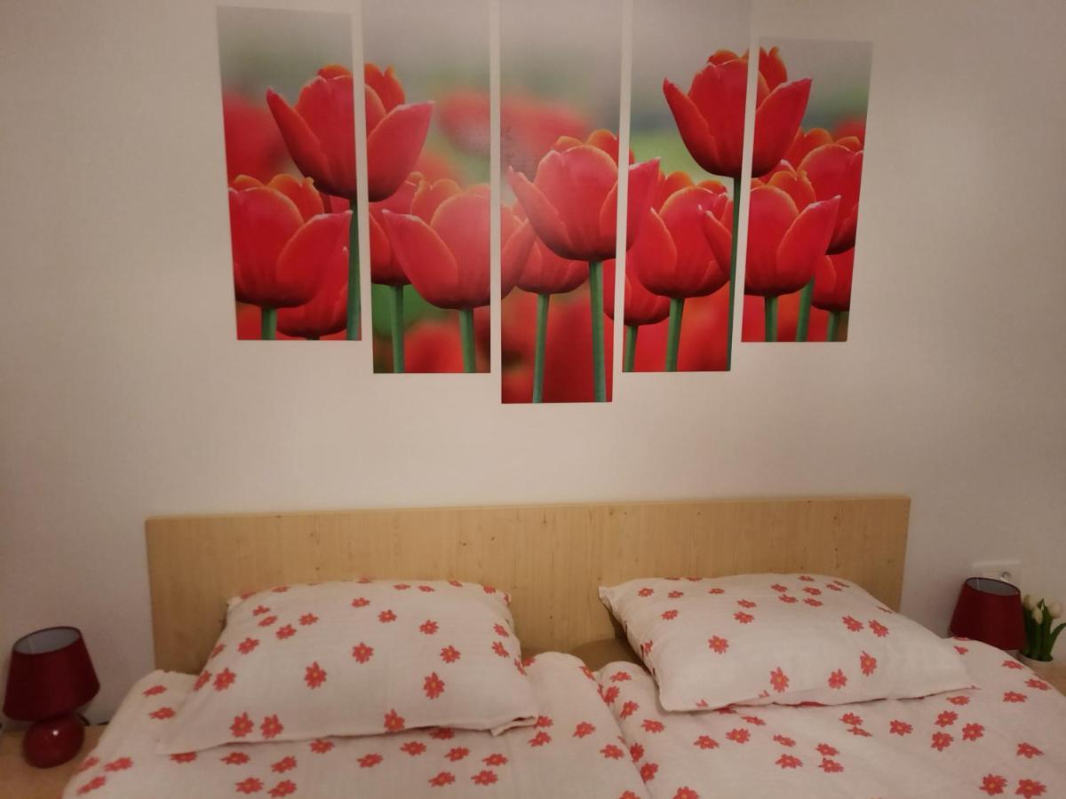 Apartma Rozle Mojstrana Zewnętrze zdjęcie