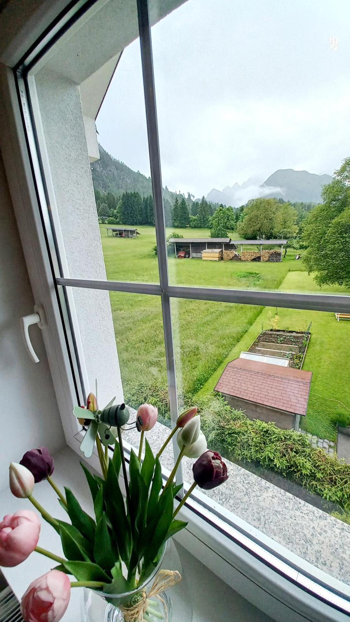 Apartma Rozle Mojstrana Zewnętrze zdjęcie