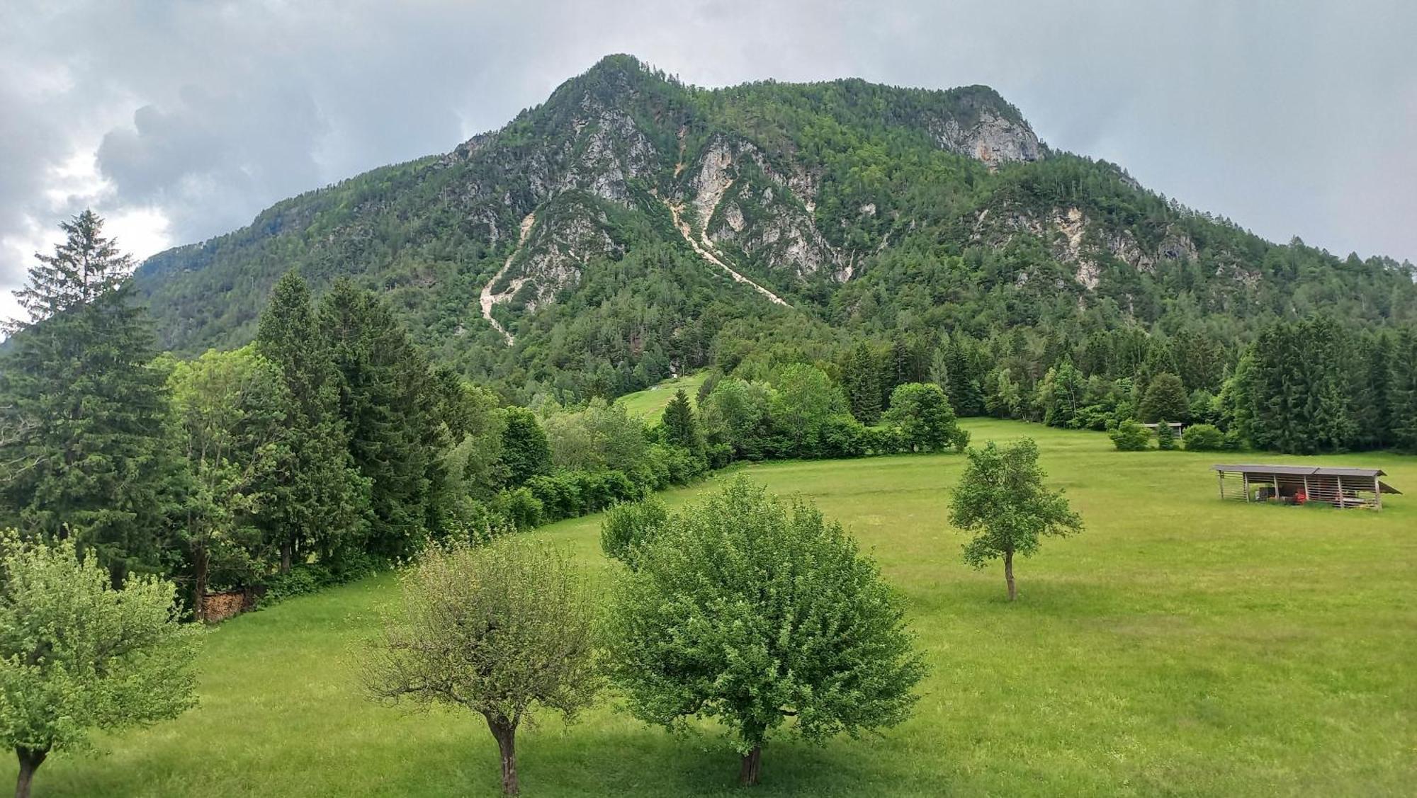 Apartma Rozle Mojstrana Pokój zdjęcie